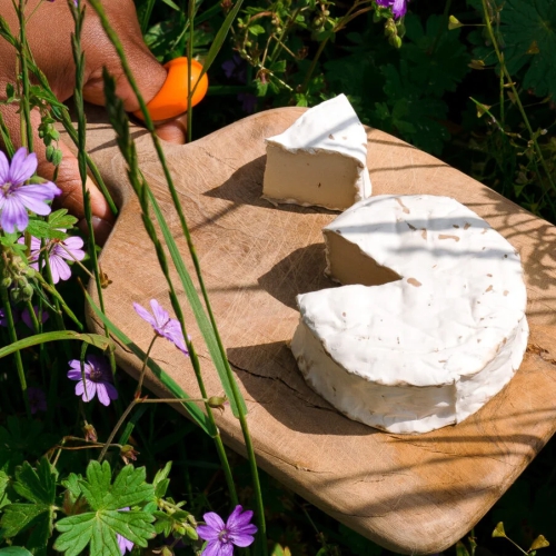 New Roots AG, vegan creamery